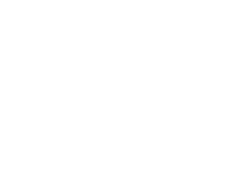 Hen Boaron partner logo