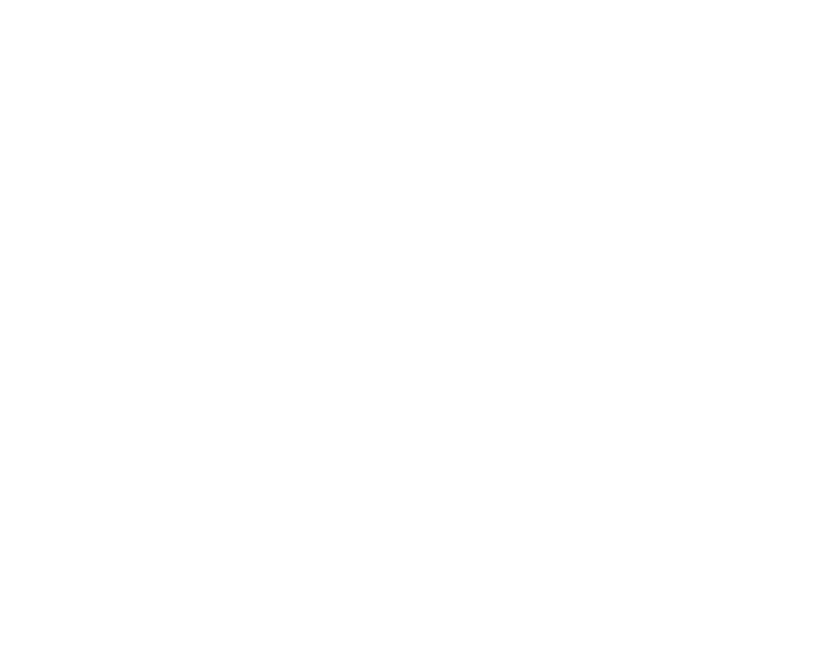 Momento partner logo