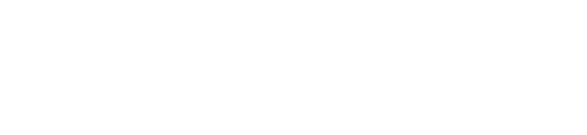 Triplan partner logo